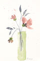 Image Not Available